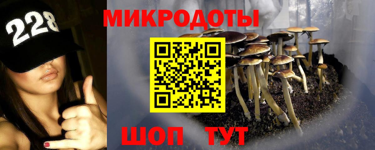 Псилоцибиновые грибы Psilocybe  Вход с VPN  Псилоцибиновые грибы ЛСД  Ревда 